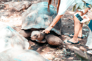 prison-island-tour-13