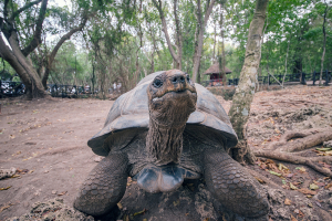 prison-island-tour-3